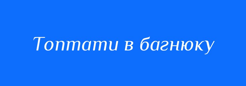 Синоніми до слова Топтати в багнюку