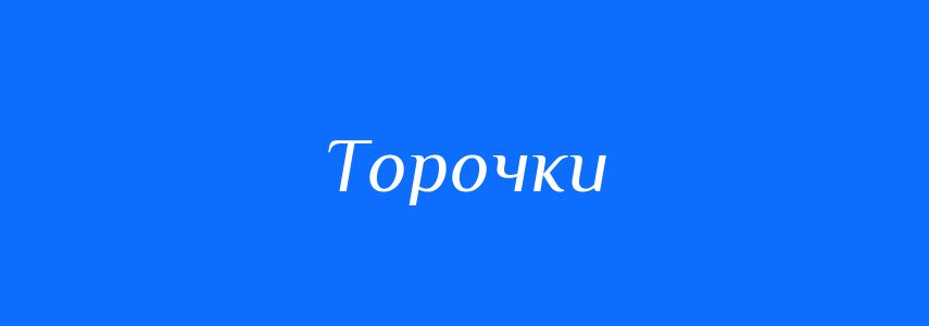 Синоніми до слова Торочки