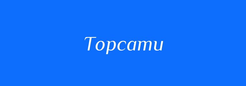 Синоніми до слова Торсати