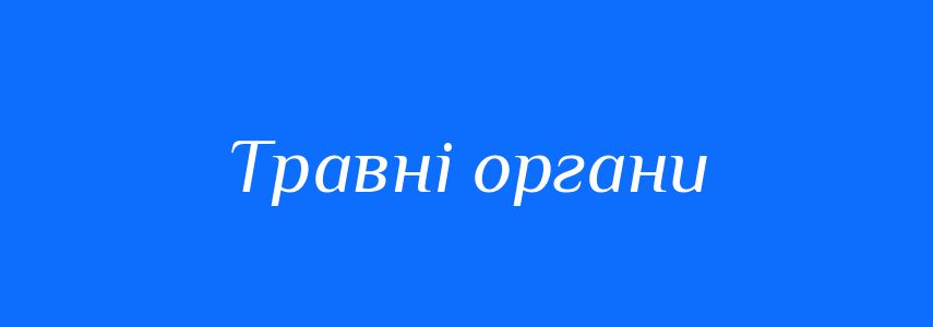 Синоніми до слова Травні органи