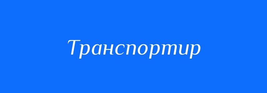 Синоніми до слова Транспортир
