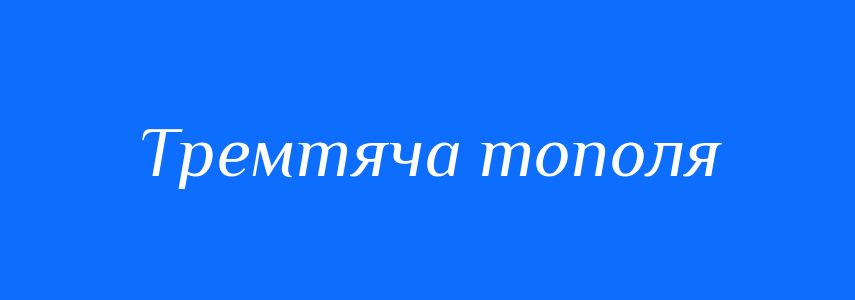 Синоніми до слова Тремтяча тополя