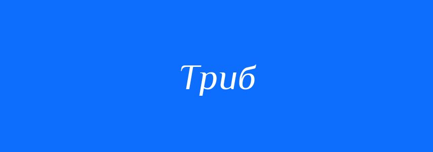 Синоніми до слова Триб