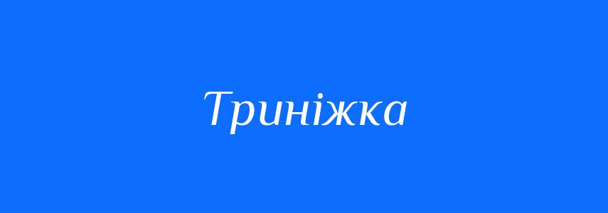 Синоніми до слова Триніжка