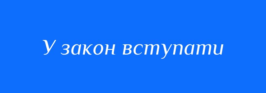 Синоніми до слова У закон вступати
