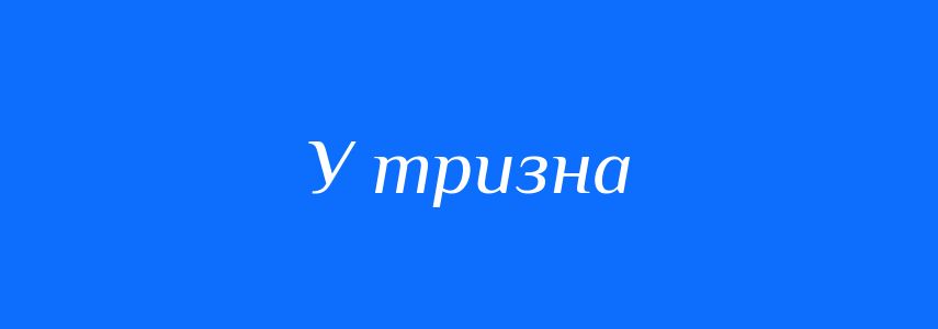 Синоніми до слова У тризна