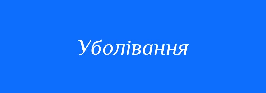 Синоніми до слова Уболівання