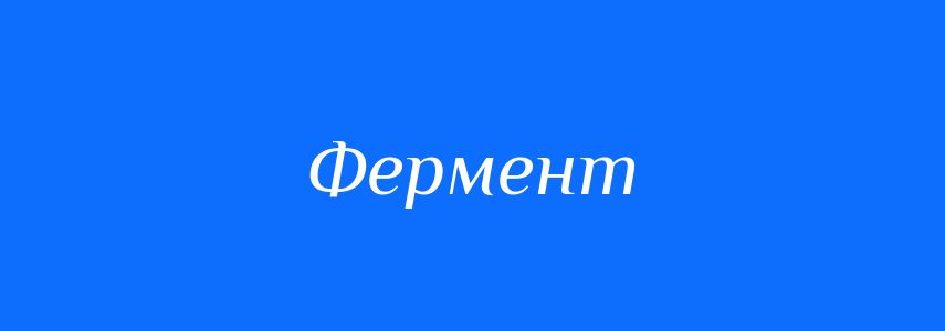 Синоніми до слова Фермент