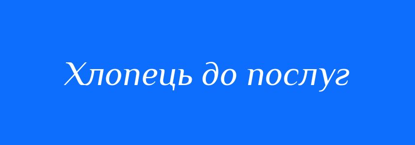 Синоніми до слова Хлопець до послуг
