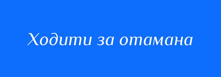 Синоніми до слова Ходити за отамана