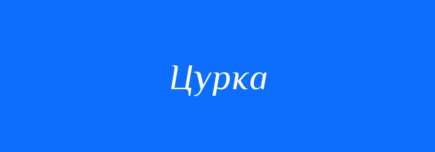 Синоніми до слова Цурка