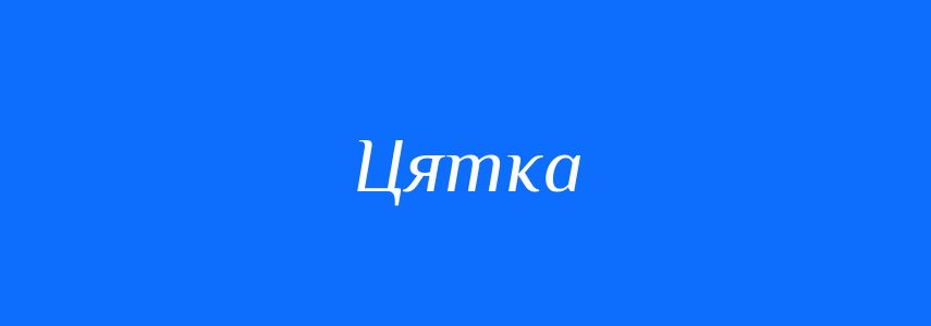 Синоніми до слова Цятка