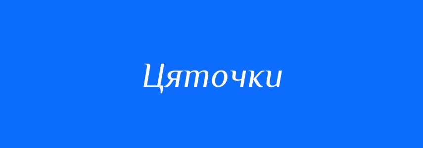 Синоніми до слова Цяточки
