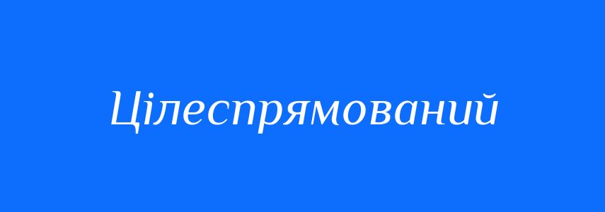Синоніми до слова Цілеспрямований