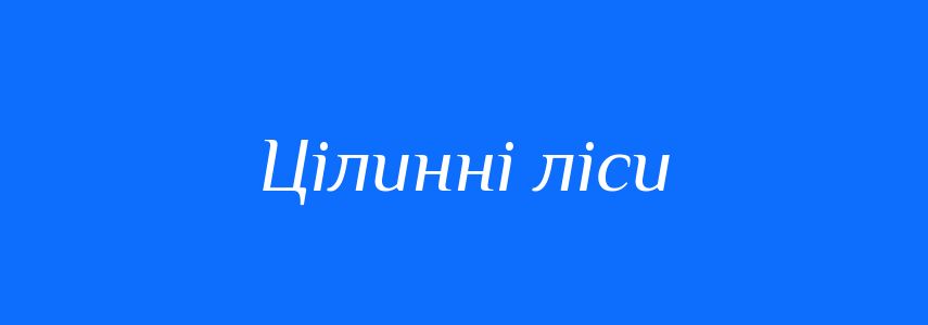 Синоніми до слова Цілинні ліси