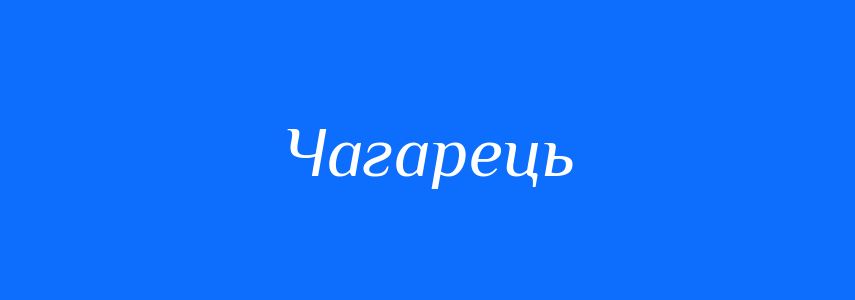 Синоніми до слова Чагарець