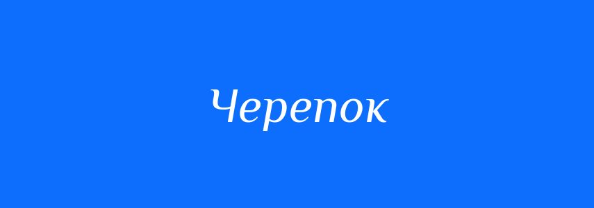Синоніми до слова Черепок