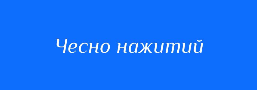 Синоніми до слова Чесно нажитий