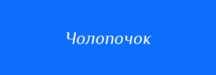 Синоніми до слова Чолопочок