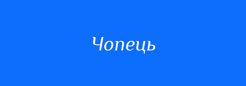 Синоніми до слова Чопець