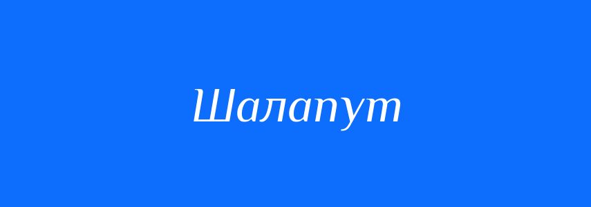 Синоніми до слова Шалапут