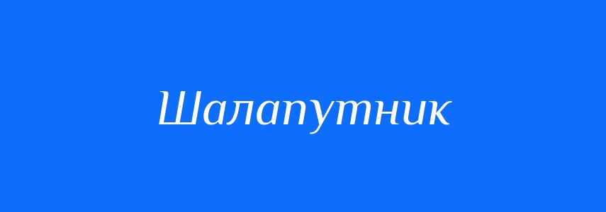 Синоніми до слова Шалапутник