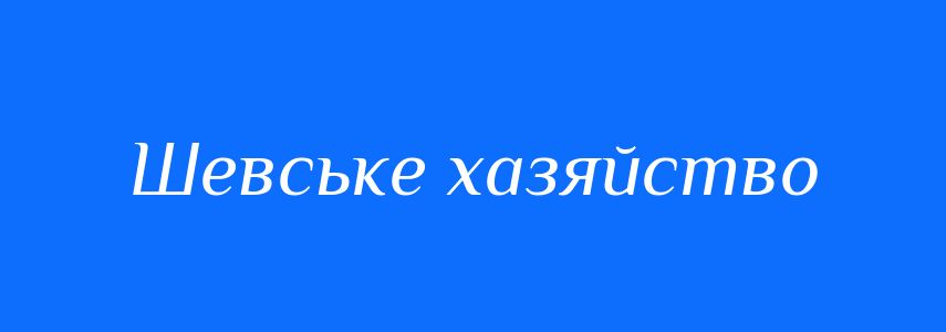 Синоніми до слова Шевське хазяйство