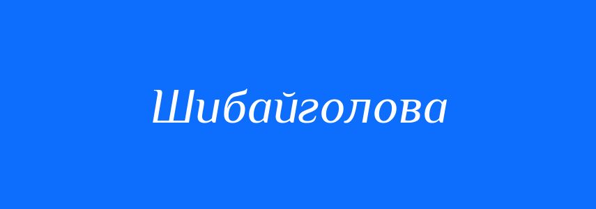 Синоніми до слова Шибайголова