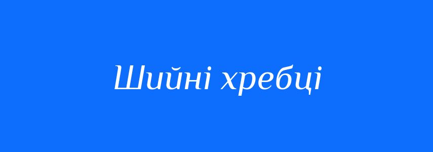Синоніми до слова Шийні хребці