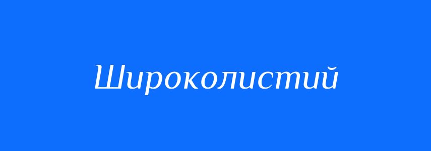 Синоніми до слова Широколистий