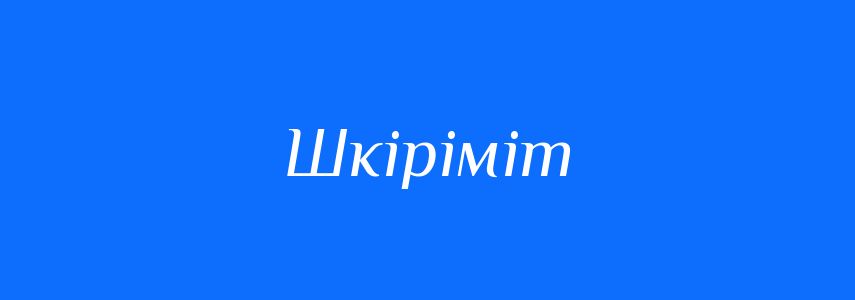 Синоніми до слова Шкіріміт