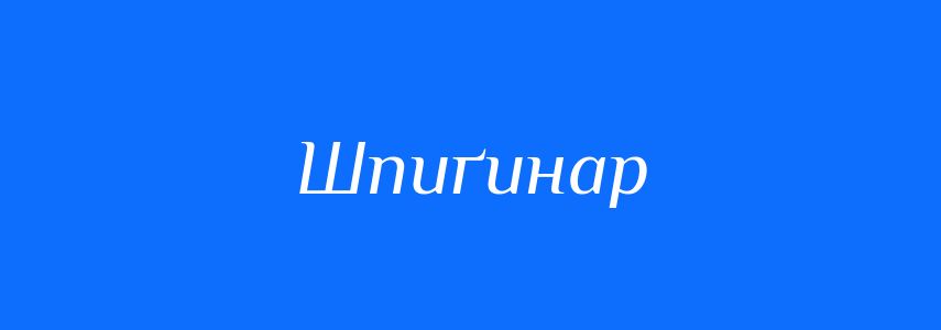 Синоніми до слова Шпиґинар