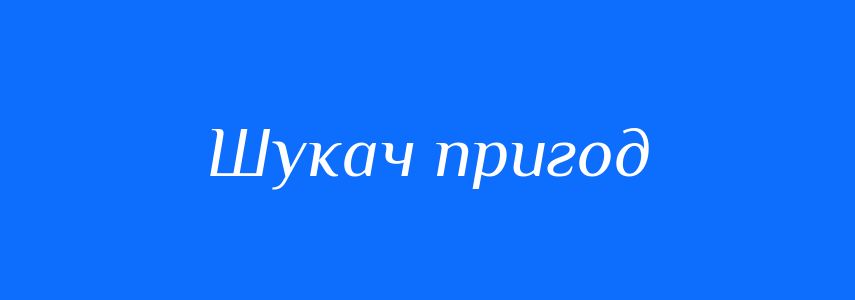 Синоніми до слова Шукач пригод