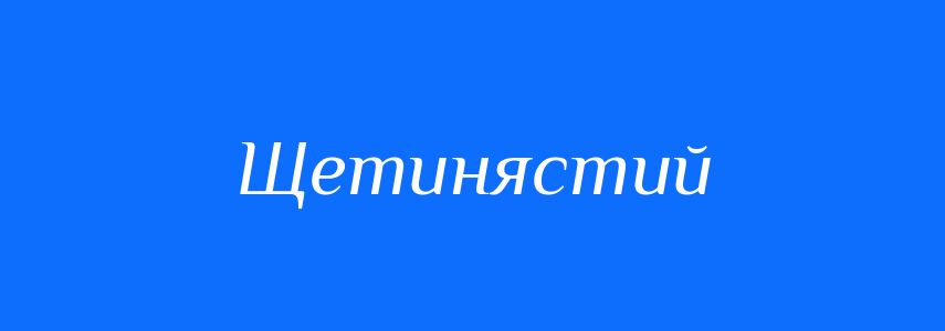 Синоніми до слова Щетинястий