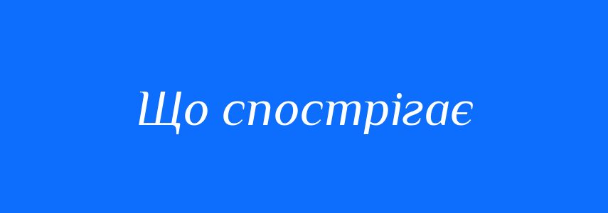 Синоніми до слова Що спострігає