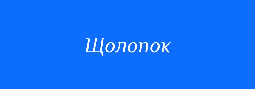 Синоніми до слова Щолопок