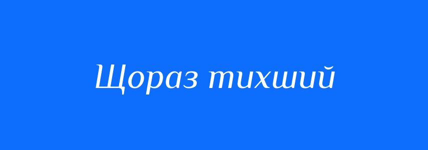 Синоніми до слова Щораз тихший