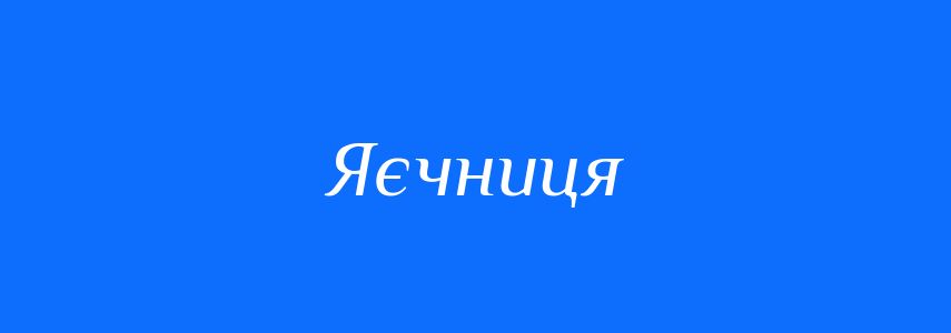 Синоніми до слова Яєчниця